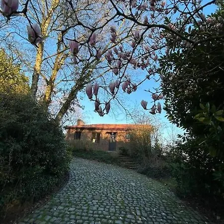 Welkom In Vloesberg N°54 Flobecq