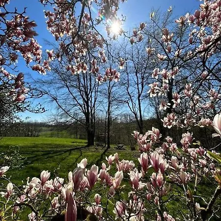 Welkom In Vloesberg N°54 Flobecq