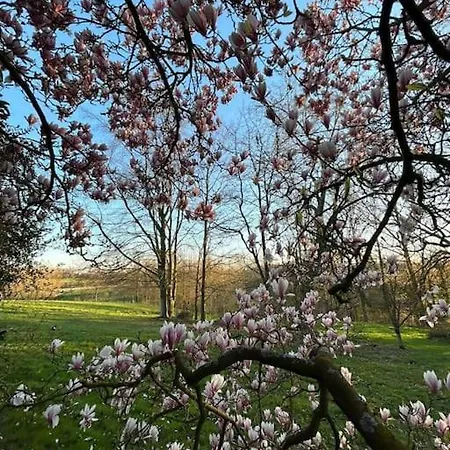 Welkom In Vloesberg N°54