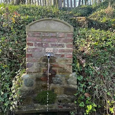 別荘 Welkom In Vloesberg N°54 Flobecq