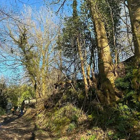 Welkom In Vloesberg N°54