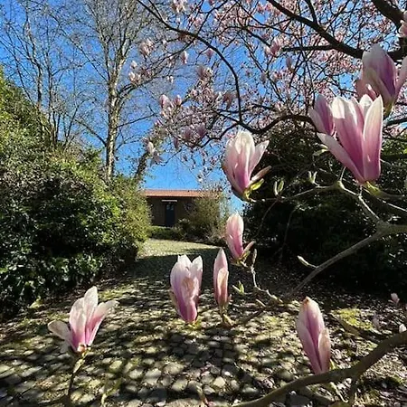 Welkom In Vloesberg N°54 Vakantiehuis