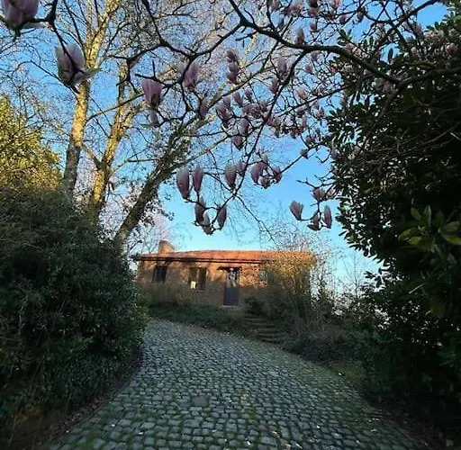 Welkom In Vloesberg N°54 Flobecq