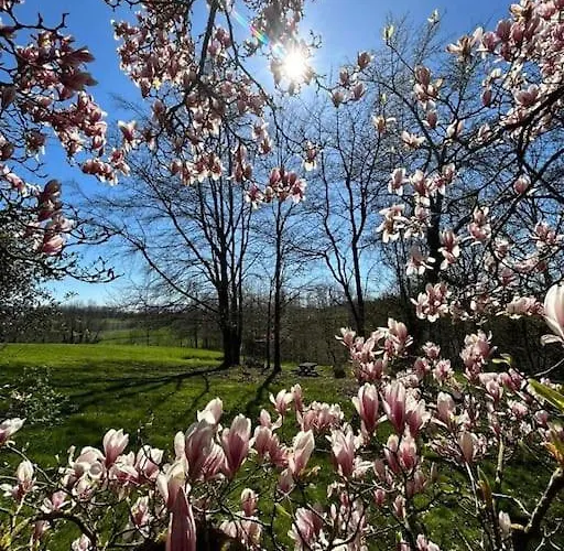 Welkom In Vloesberg N°54 Flobecq