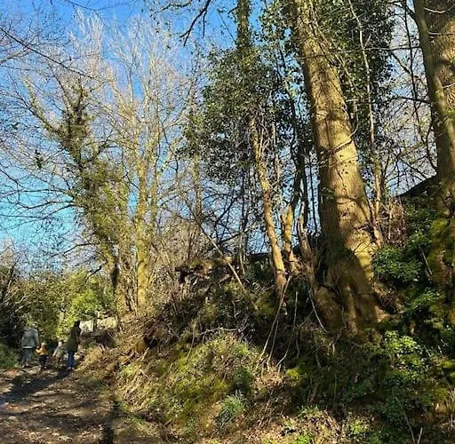 Welkom In Vloesberg N°54