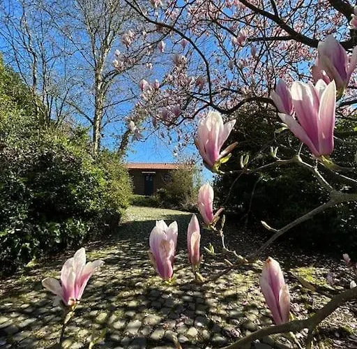 Welkom In Vloesberg N°54 Tatil Evi